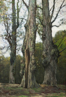KS 171
          <br/>
          Oude lindebomen
          <br/>
          <em>Höppe, Ferdinand Bernhard (1841-1922)</em>